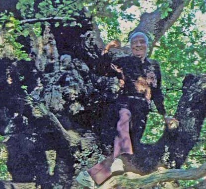 daddy in tree